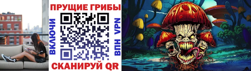 купить  сайты  Спас-Клепики  Псилоцибиновые грибы MAGIC MUSHROOMS 